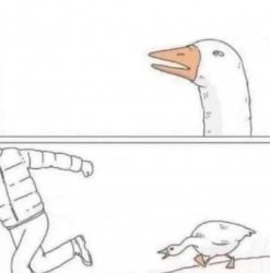Goose Chase Meme Template