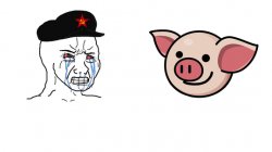 lihkg pig vs communist Meme Template