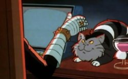 Cat gadget Meme Template
