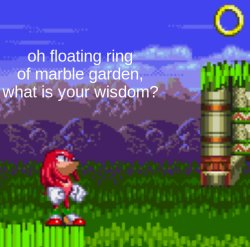 oh floating ring of marble garden, what is your wisdom? Meme Template