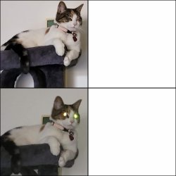 Triggered cat Meme Template