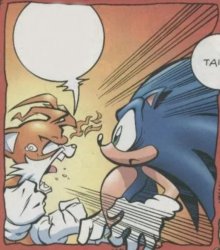 Tails Yelling At Sonic Meme Template