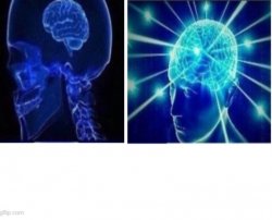 small brain vs brain Meme Template