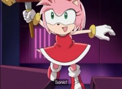 Amused Amy rose Meme Template