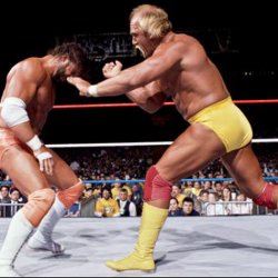 Hulk Hogan and Randy Savage Meme Template