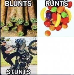 Blunts runts stunts Meme Template