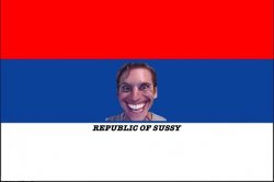 Republic of Sussy flag Meme Template