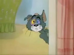 Don't You Believe It Tom and Jerry Meme Template