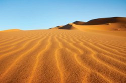 Sahara Meme Template
