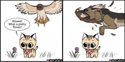 Brutus saving Pixie from an eagle Meme Template