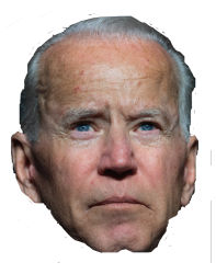Joe Biden Face Meme Template