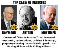 Jewish poison. Big Pharma is in the hands of the Jewish cartel Meme Template