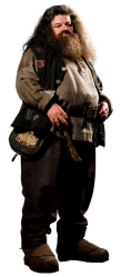 Hagrid transparent Meme Template