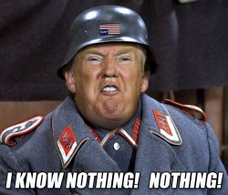 Trump Sgt. Schultz I know nothing Meme Template