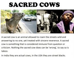 BLACKS IN USA TODAY Meme Template