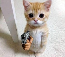Standing Cat with Gun Meme Template