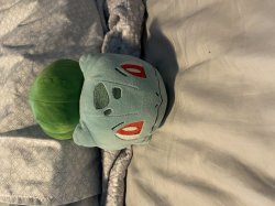 Bulbasaur of the bed Meme Template