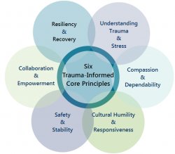 Six Trauma-Informed Core Principles Meme Template
