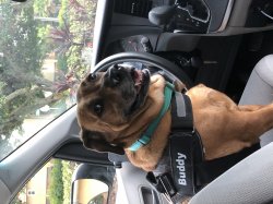 Best chauffeur ever Meme Template
