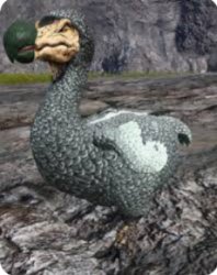 Dodo Meme Template