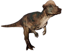 Pachycephalosaurus 2 (TLW Design) Meme Template