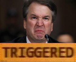 Brett Kavanaugh triggered Meme Template