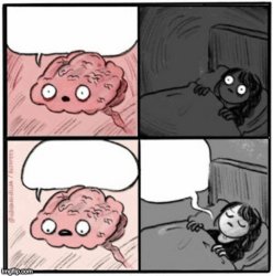 brain during sleep Meme Template