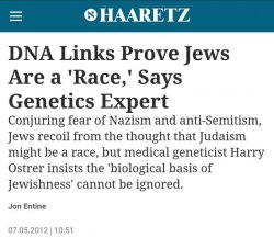 JEWS ARE A RACE, NOT WHITES/EUROPEANS Meme Template