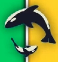 weird orcas Meme Template