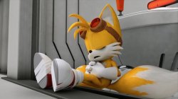 Tired tails Meme Template