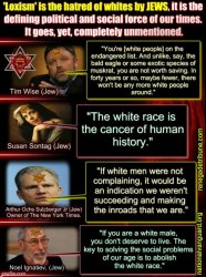 HATRED OF WHITES BY JEWS. JEWS ARE NOT WHITES/EUROPEANS Meme Template