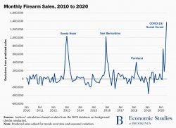 Monthly firearm sales chart 2020 Meme Template