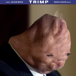 Dinild Trimp Meme Template