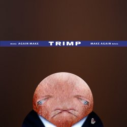 Dinild Trimp Meme Template