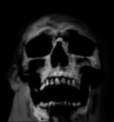 Phase 9 Meme Template