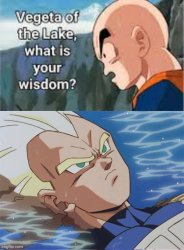 Vegeta of the lake what is your wisdom Meme Template