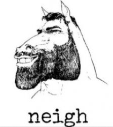 neigh Meme Template