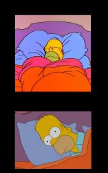 Homer sleeping and awake Meme Template