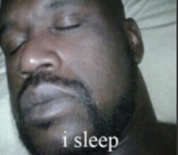 I sleep Meme Template