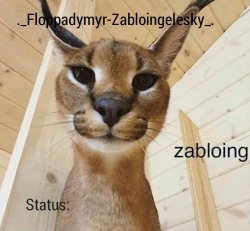 Zabloingelesky's Annoucment temp Meme Template