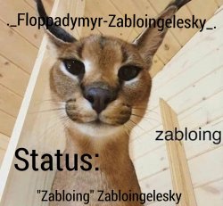 Zabloingelesky's Annoucment temp Meme Template