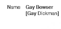 gay bowser (gay dickman) in Burial US.com Meme Template