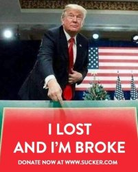 Pedo Don Trump scam lost broke donate Meme Template