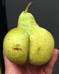 Butt Pear Meme Template