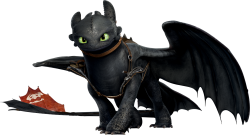 Toothless (HTTYD) Meme Template