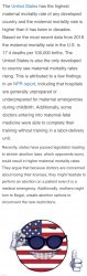 America maternal mortality Meme Template