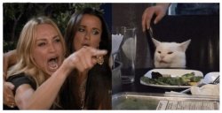 woman yeling at cat Meme Template