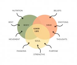 Holistic view of Life Meme Template