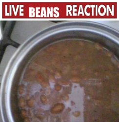 live beans reaction Meme Template