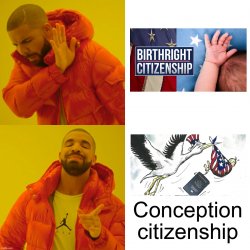 Conception citizenship Meme Template